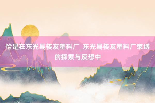 恰是在东光县筷友塑料厂_东光县筷友塑料厂束缚的探索与反想中
